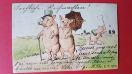 2 Cartes Animaux Humanisés , Cochons Habillés , Illustrateurs - Geklede Dieren