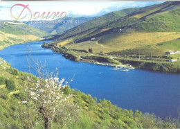 Vila Nova De Foz Côa - Barragem Do Pocinho / Rio Douro - Guarda