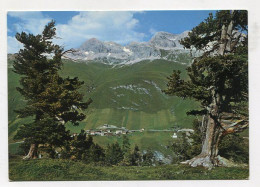 AK 139510 SWITZERLAND - Avers-Cresta Mit äusserem Und Mittlerem Wissberg - Avers