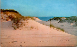 Massachusetts Cape Cod Sand Dunes - Cape Cod