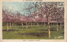 La Normandie Pittoresque N°2760 * Pommiers En Fleurs * Thème Cidre Pommes - Autres & Non Classés