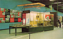 WW2 Guerre 39/45 War * CP * Prisoner Of War Exhibit , Air Force Museum , Ohio Usa * Nazi NAZI Nazisme Hitler - Weltkrieg 1939-45