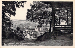 LUXEMBOURG - Echternach - Petite Suisse Luxembourgeoise - Vue Prise Du Trosknepchen - Carte Postale Ancienne - Echternach