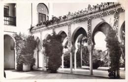 ALGERIE - Alger - Le Palais D'été De M. Le Gouverneur Générale - La Pergola - Carte Postale Ancienne - Algiers