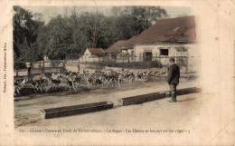 N°105948 -cpa Chasse à Courre En Forêt De Fontainebleau -le Repas- - Chasse