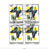 Papillon.Oblitération 1er Jour.Bloc De 4. - Used Stamps