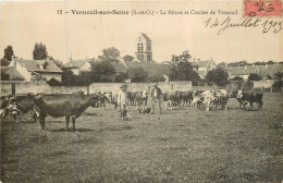 VERNEUIL SUR SEINE La Pâture Et Le Clocher De Verneuil - Verneuil Sur Seine