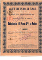 SOCIETE DES SALINES  DE TUNISIE  - OBLIGATION DE 500 FRS 5 %  - ANNEE 1906 - Afrika