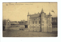 Hemiksem Hemixem  Kasteel Van  Cleydael    Château De Cleydael - Hemiksem