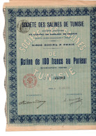 SOCIETE DES SALINES  DE TUNISIE  - ACTION DE 100 FRANCS - ANNEE 1906 - Africa