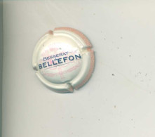 CAPSULE   BESSERAT DE BELLEFON    Ref 15  !!! - Besserat De Bellefon