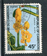 CAMEROUN   N°  531   (Y&T)   (Oblitéré)   - Cameroun (1960-...)