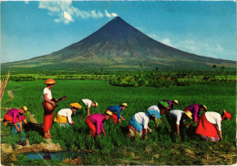 PC PHILIPPINES, PAGTATANIM NG PALAY, Modern Postcard (b48000) - Philippines