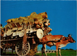 PC PHILIPPINES, BULL CART LADEN WITH WICKER BASKETS, Modern Postcard (b48043) - Philippines