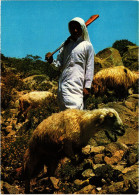 PC SAUDI ARABIA, SOUTH REGION, YOUNG SHEPHERD, Modern Postcard (b48131) - Arabie Saoudite