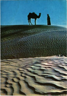 PC SAUDI ARABIA, A CAMEL AND A RIDER IN THE DESERT, Modern Postcard (b48139) - Arabie Saoudite