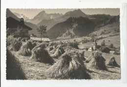 74 Haute Savoie Les Contamines Mont Joie Mottes De Foin Carte Photo Giet - Contamine-sur-Arve