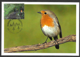 Portugal Madère Carte Maximum Avec Timbre Europa CEPT 2011 Oiseau Rouge-gorge Madeira Maxicard European Robin Bird - 2011