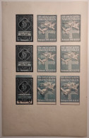 HUNGARY BUDAPEST  ERROR VARIETY 1921 IMPERF SHEET DANTE ALIGHIERI COLOUR PLATE SHIFT LAST ROW CINDERELLA VIGNETTE MNH** - Variétés Et Curiosités