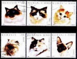 C3982 - Roumanie 2006 - Chats 6v.obliteres - Used Stamps