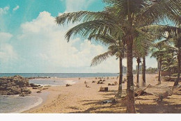 A SUNNY BEACH AT THE CONDADO SECTION             SAN JUAN - Puerto Rico