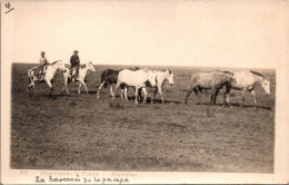 ARGENTINE  - Atravesando La Pampa - A Travers La Pampa - Argentine