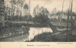 Breteuil * Un Saule Sur La Noye * Arbre - Breteuil