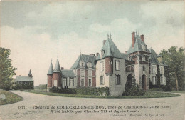 Courcelles * Le Château De Courcelles Le Roy , Près Châtillon Sur Loire - Other & Unclassified