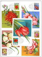 Russia USSR 1978 MC X5 Flora Flowers Flower Maximum Cards - Cartes Maximum