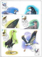 Russia USSR 1982 MC X6 Fauna Birds Bird Earle Stork Crane Maximum Cards - Maximumkarten