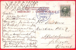 Aa0646 - DENMARK - Postal History -  SHIP POSTMARK On POSTCARD Paquebot 1907 - Brieven En Documenten