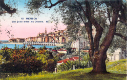 FRANCE - 06 - Menton - Vue Prise Entre Les Oliviers - Carte Postale Ancienne - Menton