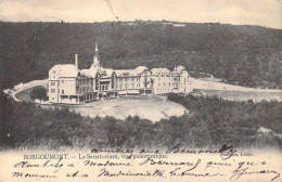 BELGIQUE - Borgoumont - Le Sanatorium, Vue Panoramique - Carte Postale Ancienne - Andere & Zonder Classificatie