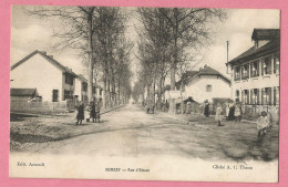 CHA212  CPA  NOMEXY  (Vosges)  Rue D'Alsace - Animation  +++++ - Nomexy