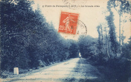 Paimpont * La Forêt * La Grande Allée - Paimpont