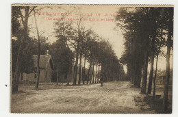 CPA-BEVERLOO " Une Allée Du Camp-laan In Het Kamp " - Leopoldsburg