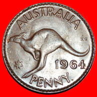 * PERTH (1955-1964): AUSTRALIA  1 PENNY 1964! KANGAROO! ELIZABETH II (1953-2022) · LOW START! · NO RESERVE!!! - Penny