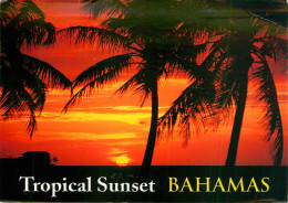 CPSM The Bahamas-Tropical Sunset-Beau Timbre       L2284 - Bahamas