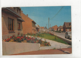 Isbergues-Molinghem (62) : La Rue D'Artois En 1987 GF. - Isbergues