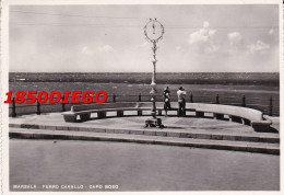 MARSALA - FERRO CAVALLO - CAPO BOEO  F/GRANDE VIAGGIATA  1956?  ANIMAZIONE - Marsala