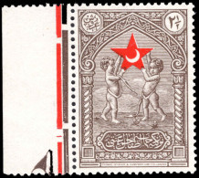 Turkey 1929 2½ Ghr Child Welfare Marginal Unmounted Mint. - Ongebruikt