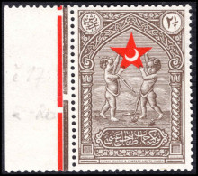 Turkey 1929 2½ Ghr Child Welfare Marginal Unmounted Mint. - Unused Stamps