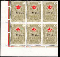 Turkey 1932 20pa On 1g Olive Child Welfare Corner Marginal Block Of 6 Unmounted Mint. - Unused Stamps
