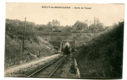 CPA 51 : RILLY  LA MONTAGNE   Sortie Du Tunnel Avec Train  A   VOIR  !!! - Rilly-la-Montagne