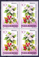 Romania 1993 MNH Blk, Plant Common Hawthorn Medicine To Treat Heart Disease - Heilpflanzen