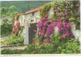 A Typical Scene, Canary Islands - (Islas Canarias) - (Espana/Spain) - John Hinde Postcard - Altri & Non Classificati