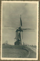 PAYS BAS / NEDERLANDS - Geffen : Photo - Korenmolen - Terschelling