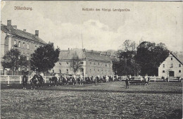 Dillenburg Reitbahn Des Königl. Landgstüts Pferde Selten - Dillenburg