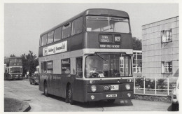 Burnt Mill School London Vintage PB Bus Postcard Photo - Bus & Autocars