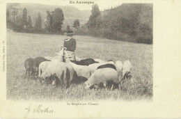 EN AUVERGNE - La Bergère Aux Champs - Coll. Gély  - Voyagée 1906 Vers Jumet - Collections & Lots